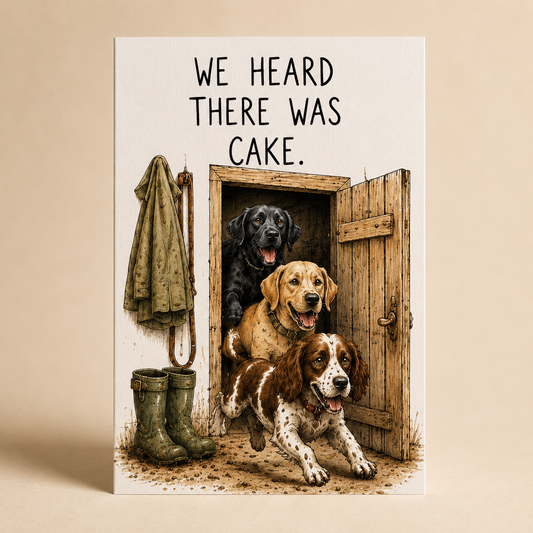 Birthday Card